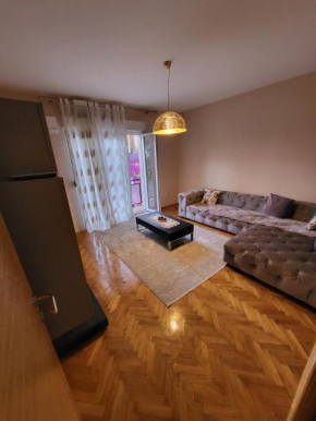 Centre Podgorica apartment